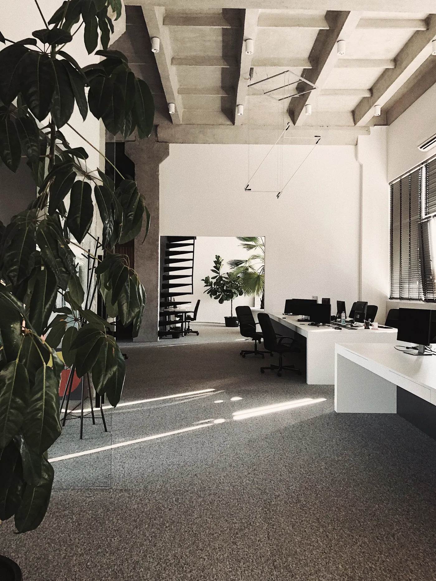 Planta modelo terminada.